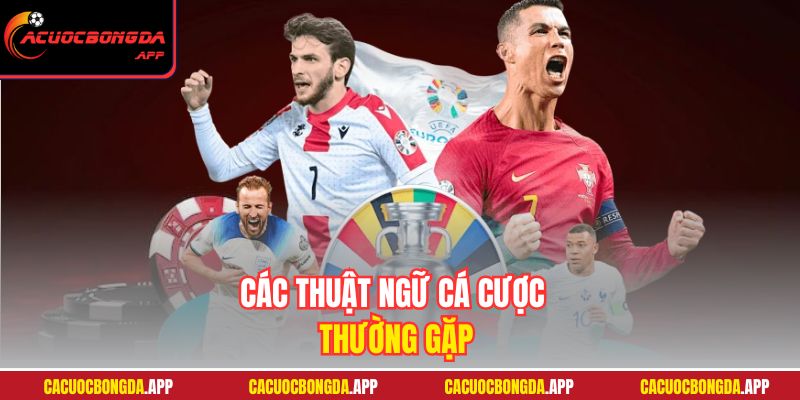 Các thuật ngữ cá cược thường gặp