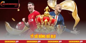Tỷ số bóng đá Blu